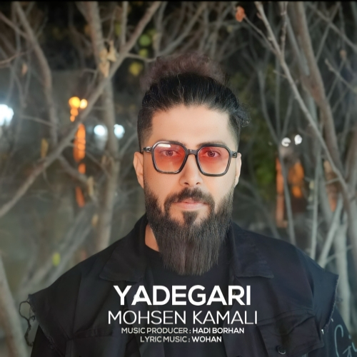 محسن کمالی یادگاری
